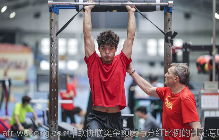 欧协联奖金额度与分红比例的制定原则