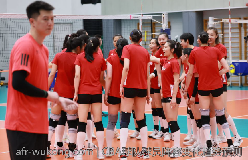 CBA球队球员阵容变化趋势预测