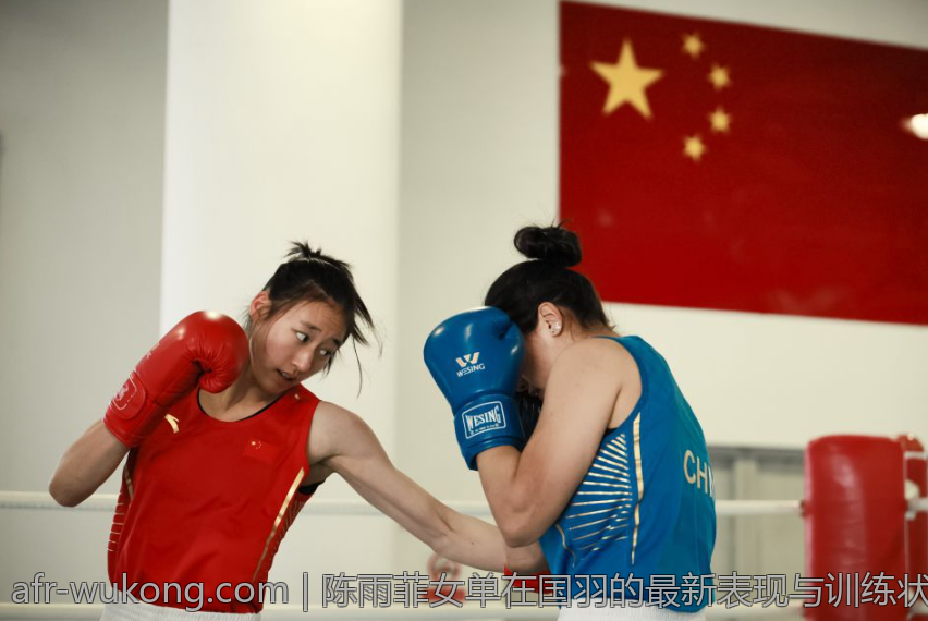 陈雨菲女单在国羽的最新表现与训练状态